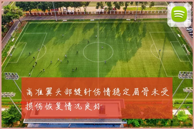 高准翼头部缝针伤情稳定眉骨未受损伤恢复情况良好