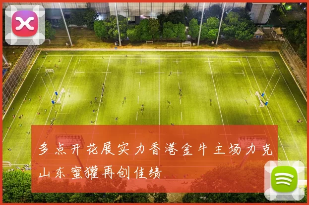 多点开花展实力香港金牛主场力克山东蜜獾再创佳绩