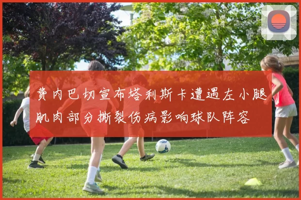 费内巴切宣布塔利斯卡遭遇左小腿肌肉部分撕裂伤病影响球队阵容